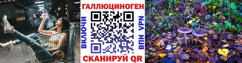 купить закладку Балашиха Галлюциногенные грибы Cubensis