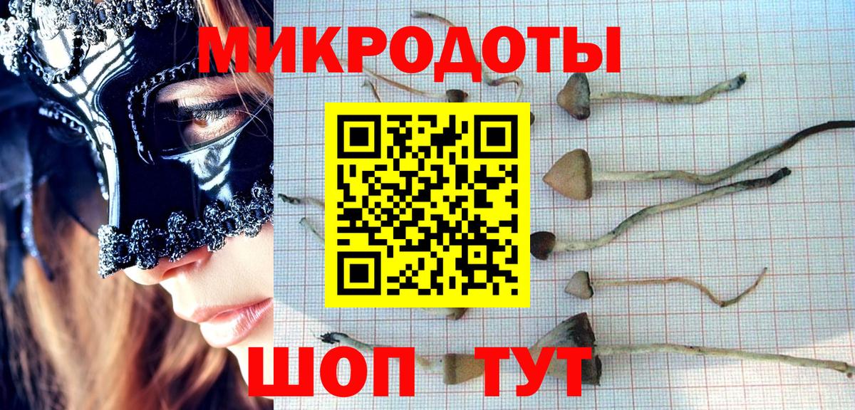 Галлюциногенные грибы GOLDEN TEACHER Балашиха